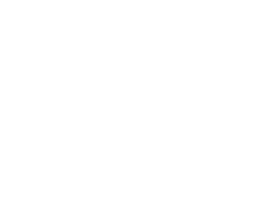 CallSource CallSource Logo