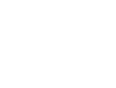 HCSS HCSS Logo